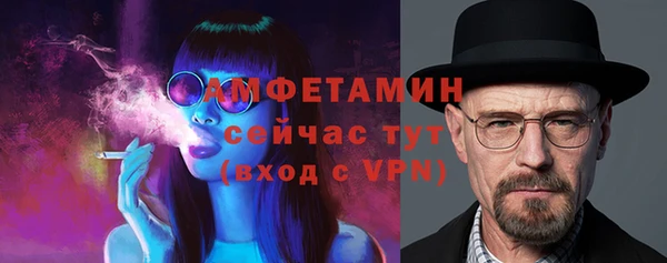 прущие грибы Наволоки