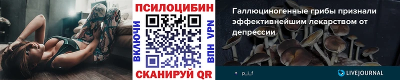 hydra как войти  Алупка  Псилоцибиновые грибы Psilocybine cubensis 